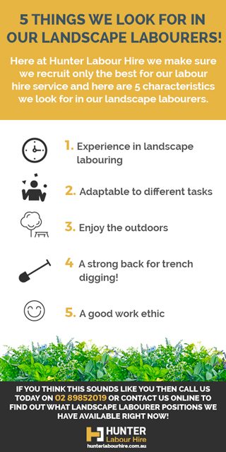 landscaping-and-gardening-labourer-requirements-hunter-labour-hire-sydney