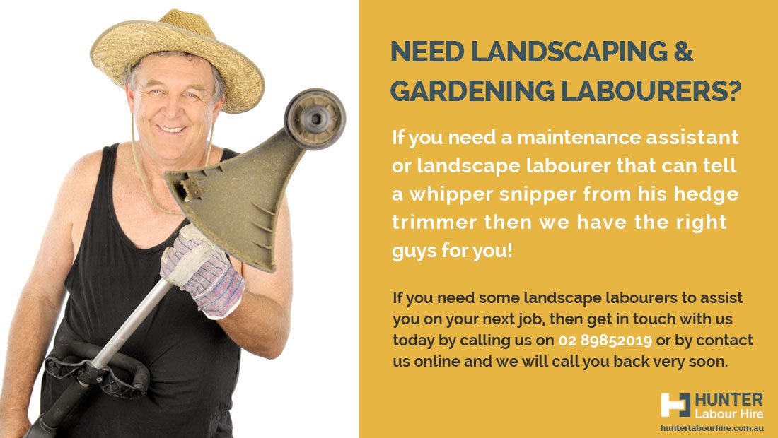 landscaping-and-gardening-labourers-available-sydney-hunter-labour-hire