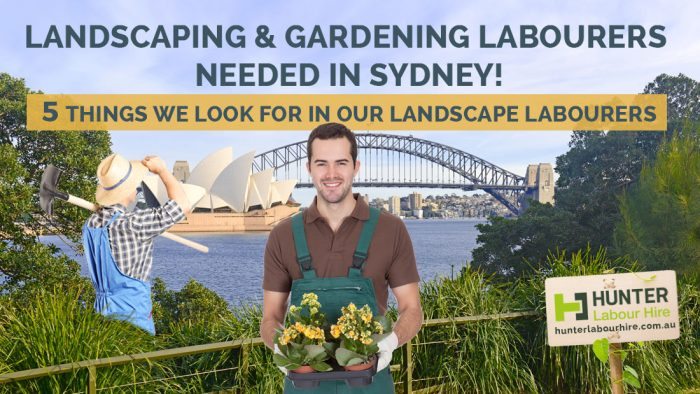 Landscape & Gardening Labourers Needed in Sydney