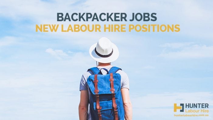 Backpacker Jobs Sydney - New Labour Hire Positions