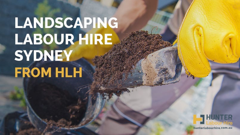 Landscaping Labour Hire Sydney - HLH