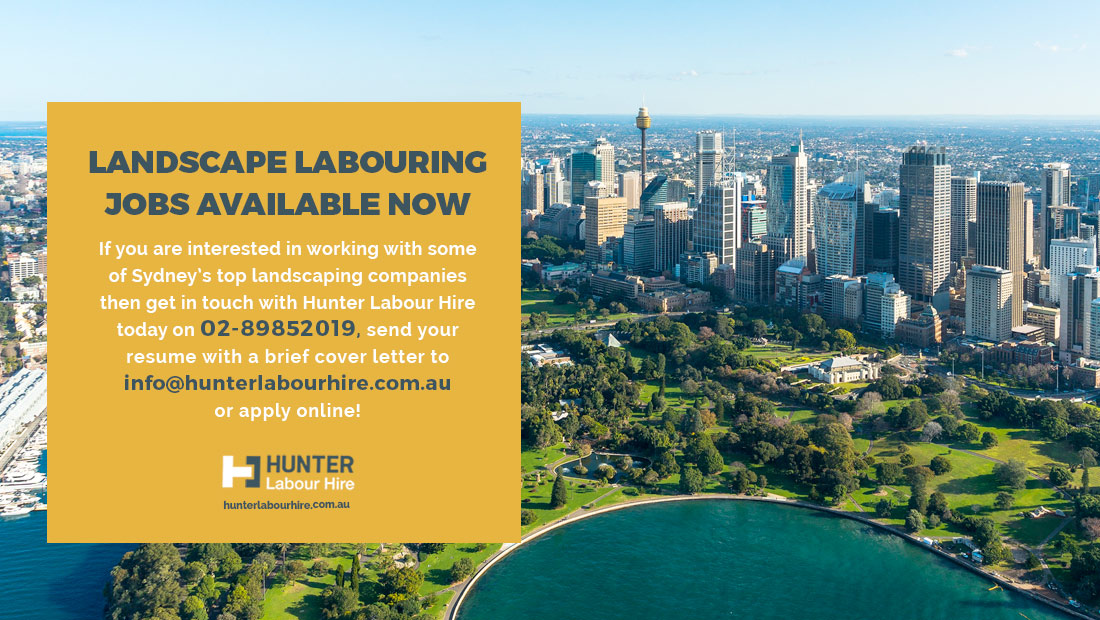 Landscaping Labourer Jobs in Sydney