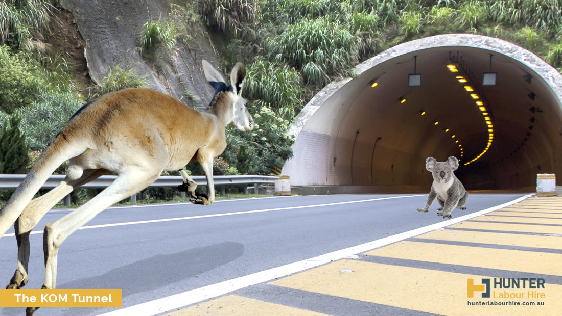 The KOM Kangaroo and Other Marsupial Tunnel - Hunter Labour Hire