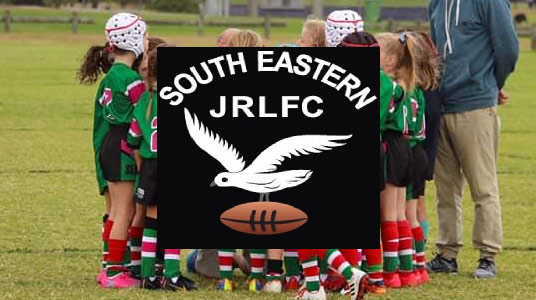 South Eastern Seagulls - Hunter Labour Hire Sponsor