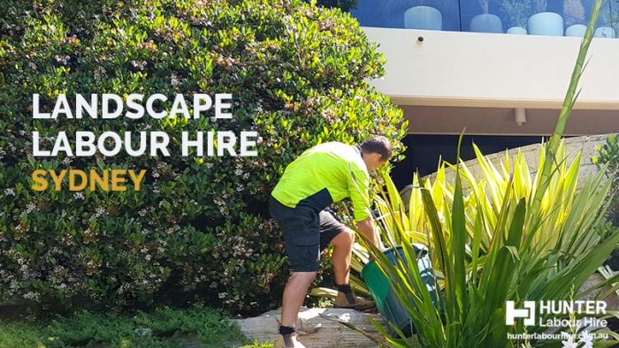 Landscape Labour Hire Sydney - HLH Group