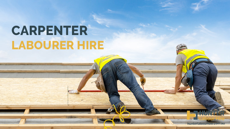 Carpenter Labourer Hire - Hunter Labour Hire Sydney