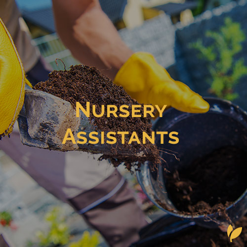 HIre Nursery Assistants Landscape Labourers - HLH Group Sydney