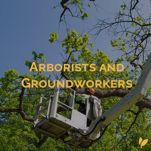 Arborists and Groundworkers Labour Hire Sydney - Landscaping - HLH Group