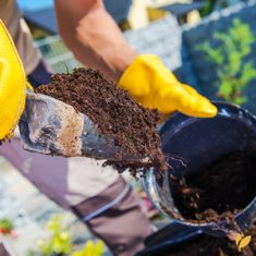 Labour Hire Nursery Assistants Landscape - HLH Group Sydney