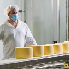 Food Production - Manufacturing Labour Hire Sydney - HLH Group