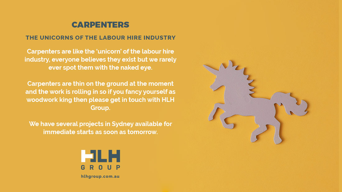 Carpenters - Unicorns Labour Hire Industry - HLH Group