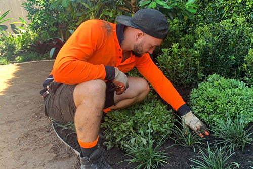 Landscaping Labour Hire Sydney - HLH Group